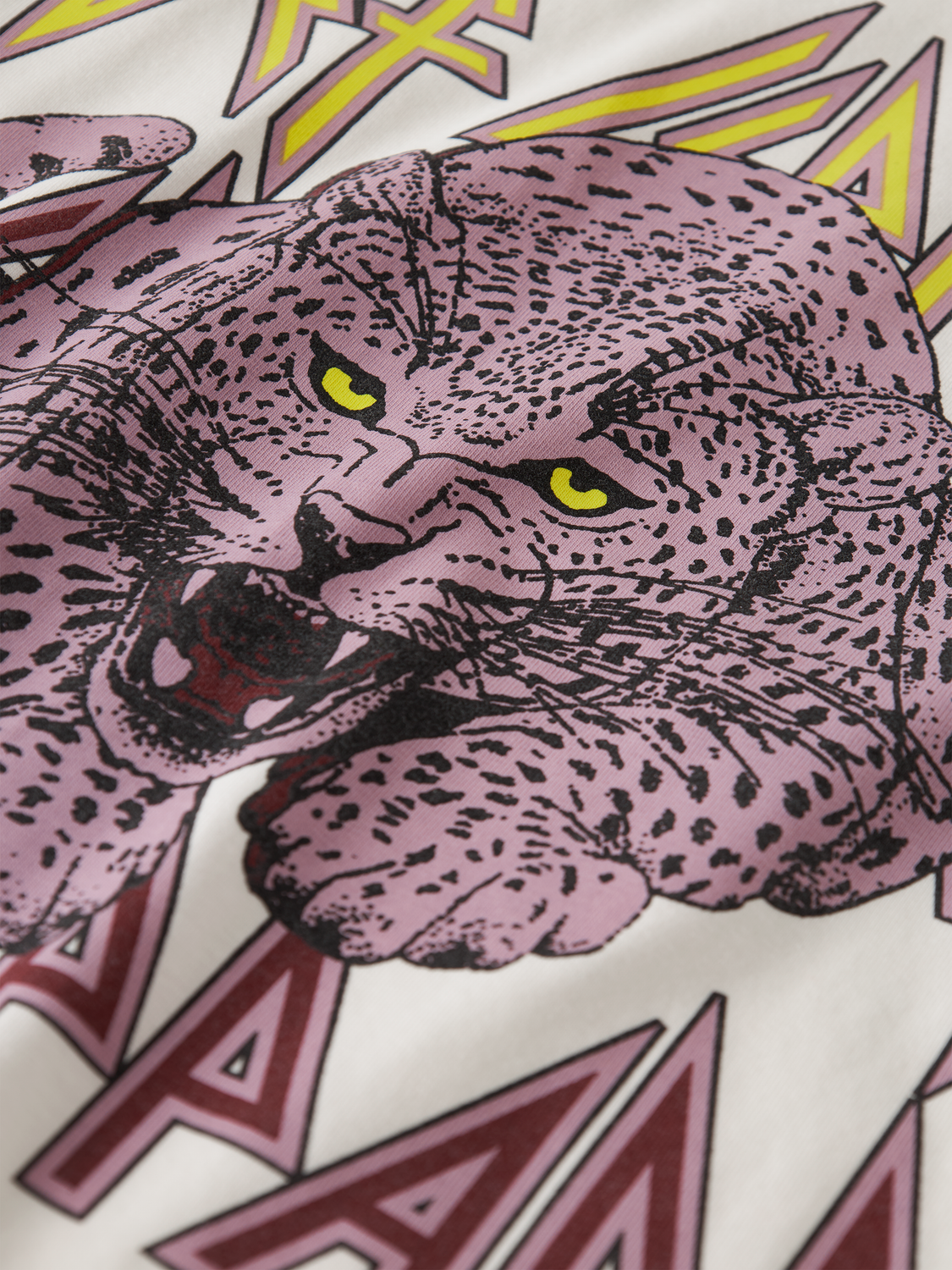 model_shot-front_full