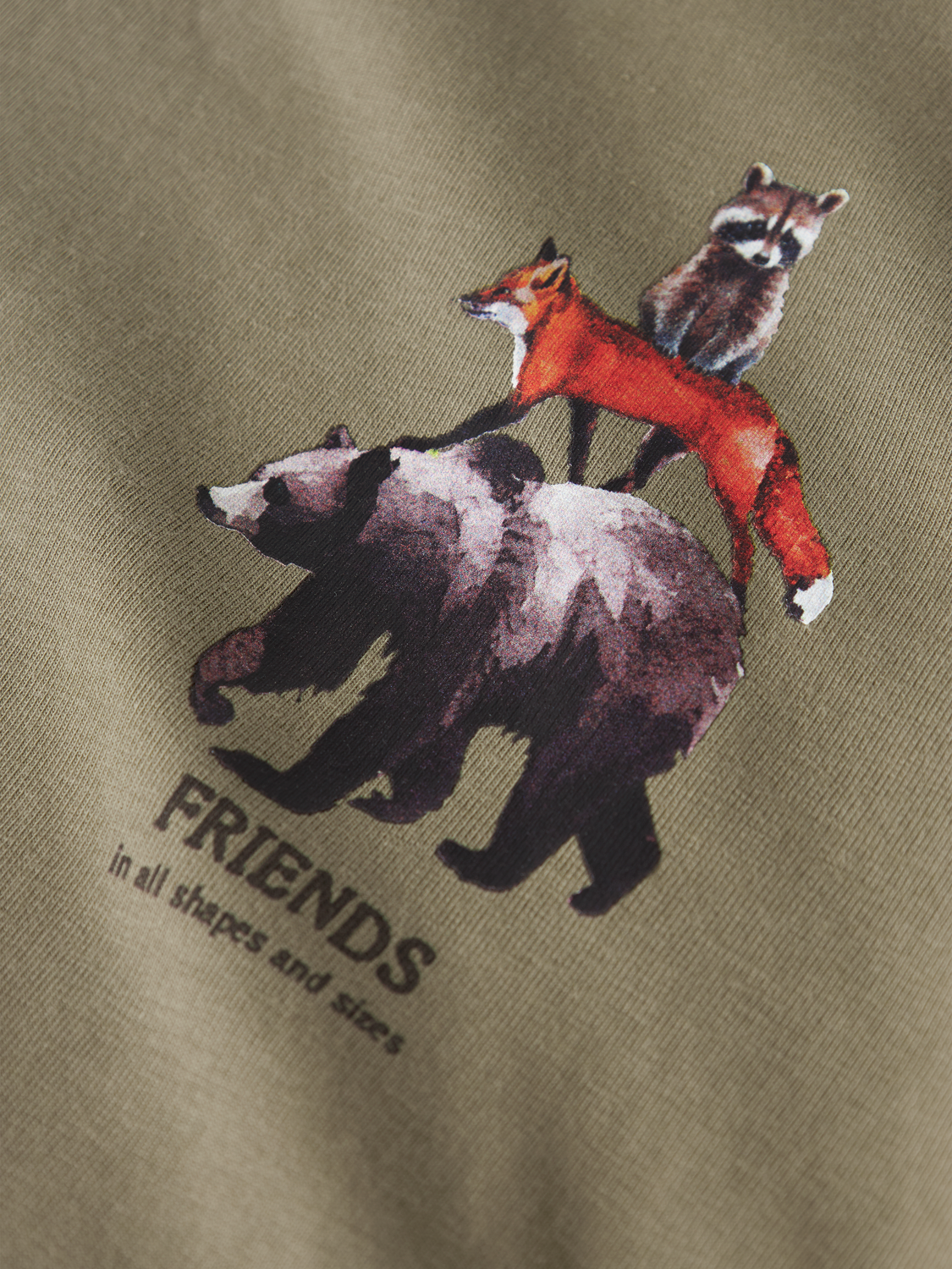 model_shot-front_full