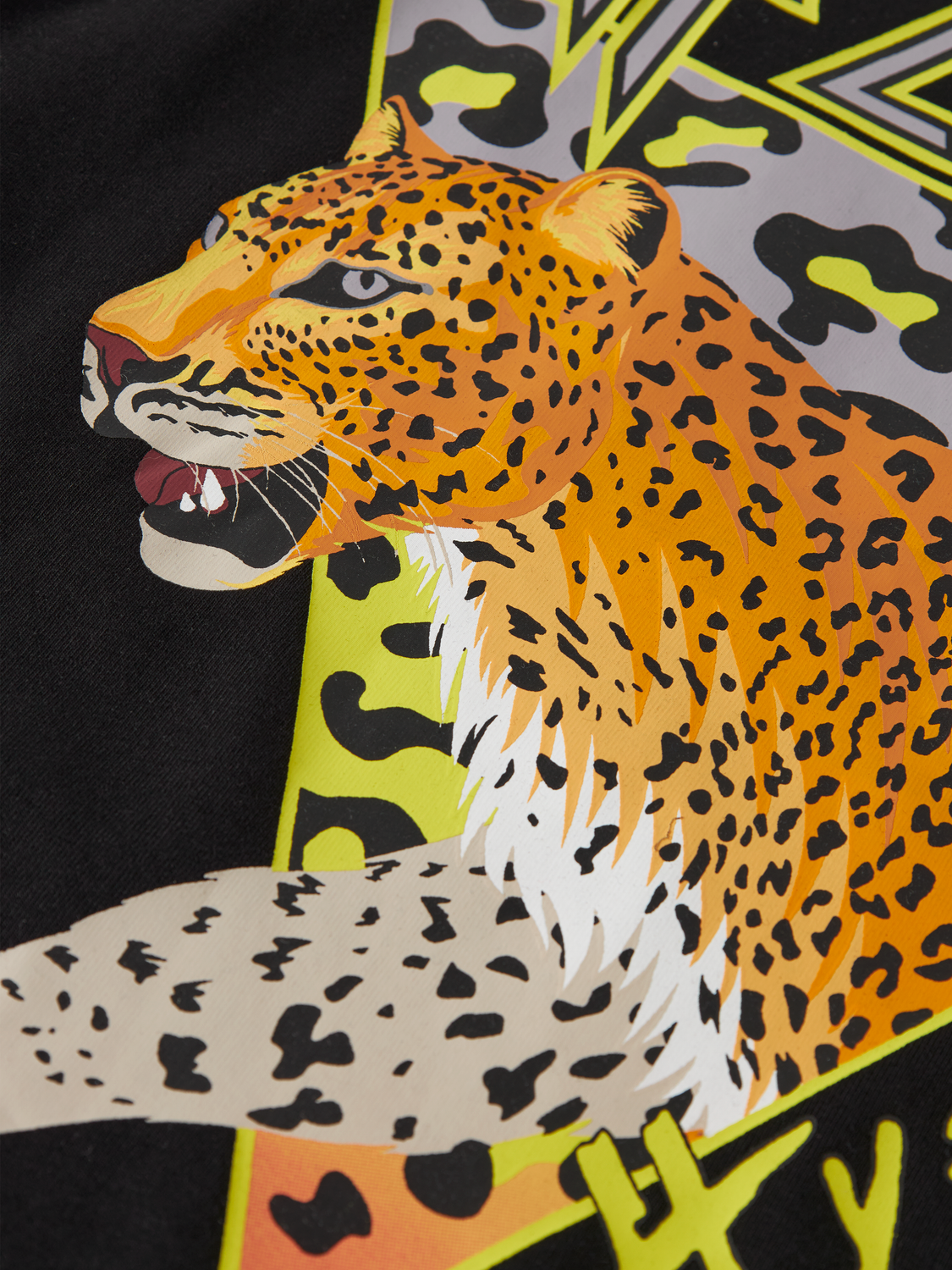 model_shot-front_full