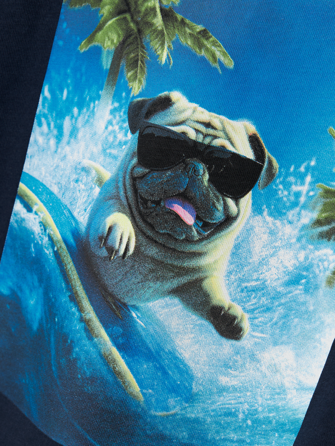 model_shot-front_full